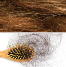 Capelli secchi e crespi